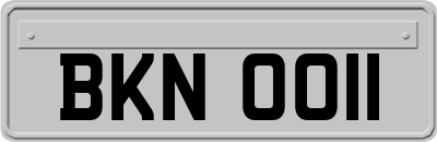 BKN0011