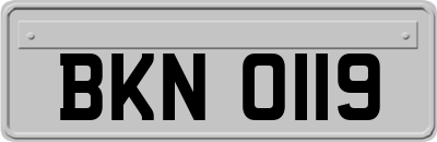 BKN0119
