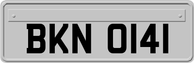 BKN0141