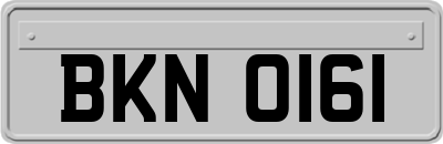 BKN0161
