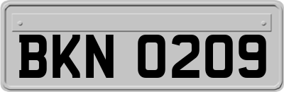 BKN0209