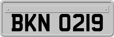 BKN0219