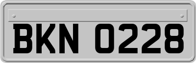 BKN0228