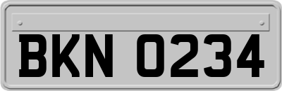BKN0234