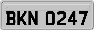 BKN0247