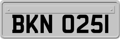 BKN0251
