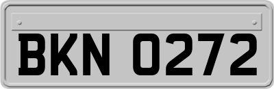 BKN0272