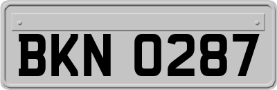 BKN0287