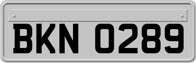 BKN0289