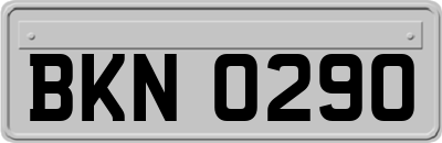 BKN0290