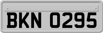 BKN0295