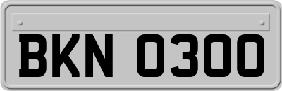BKN0300