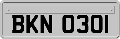 BKN0301