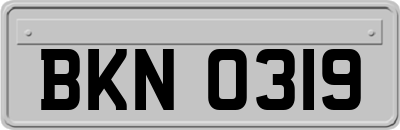 BKN0319