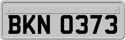 BKN0373