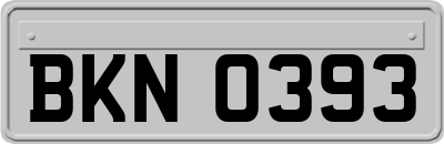 BKN0393