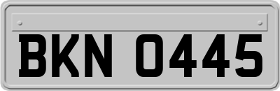 BKN0445
