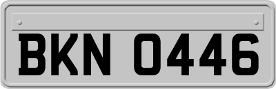 BKN0446