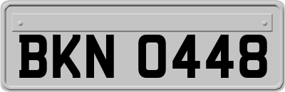 BKN0448