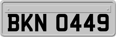 BKN0449