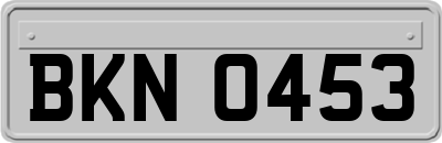 BKN0453