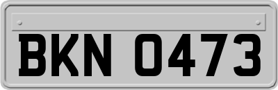 BKN0473