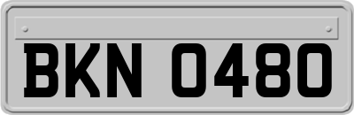 BKN0480