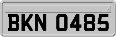 BKN0485