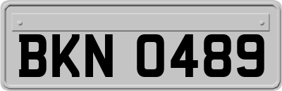 BKN0489