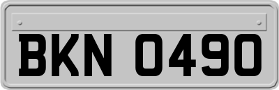 BKN0490