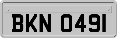 BKN0491