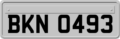 BKN0493
