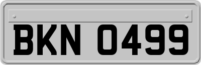 BKN0499