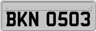 BKN0503