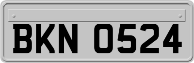 BKN0524