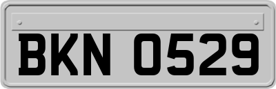 BKN0529