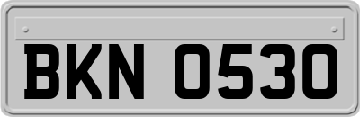 BKN0530