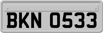 BKN0533
