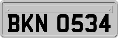 BKN0534