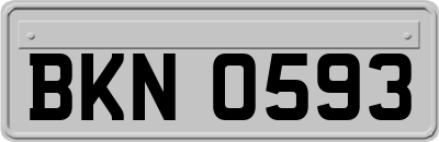BKN0593