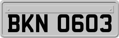 BKN0603