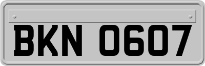 BKN0607