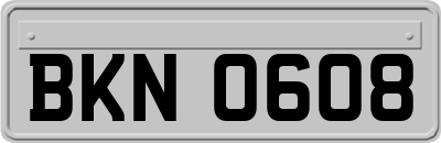 BKN0608