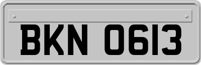 BKN0613