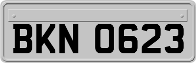 BKN0623