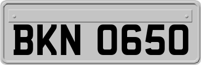 BKN0650
