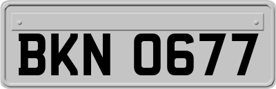 BKN0677