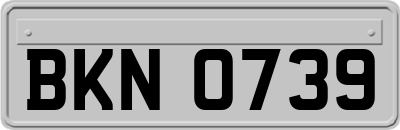 BKN0739