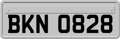 BKN0828