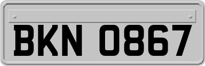 BKN0867